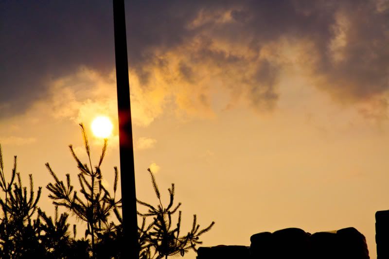 IMAGE: http://i4.photobucket.com/albums/y146/JordysMom/_MG_3972.jpg