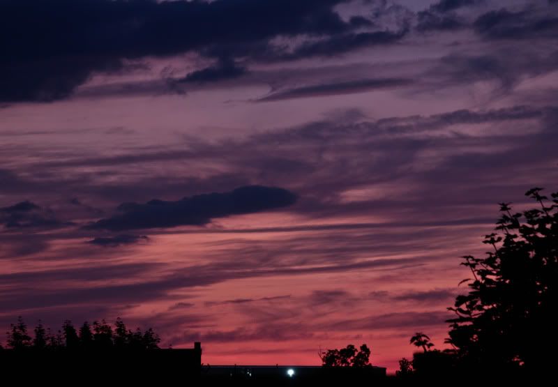 IMAGE: http://i4.photobucket.com/albums/y146/JordysMom/_MG_5027.jpg