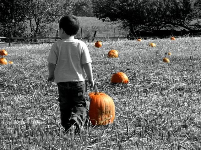 IMAGE: http://i4.photobucket.com/albums/y146/JordysMom/patch822-1.jpg