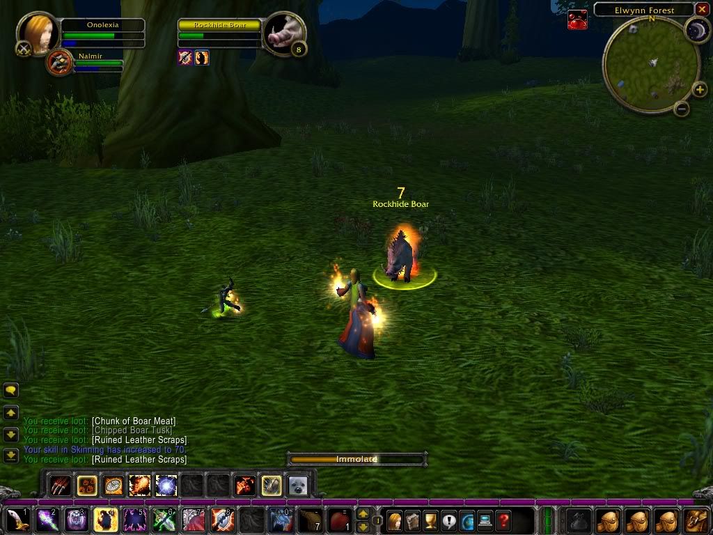 [Image: WoWScrnShot_072306_231042.jpg]