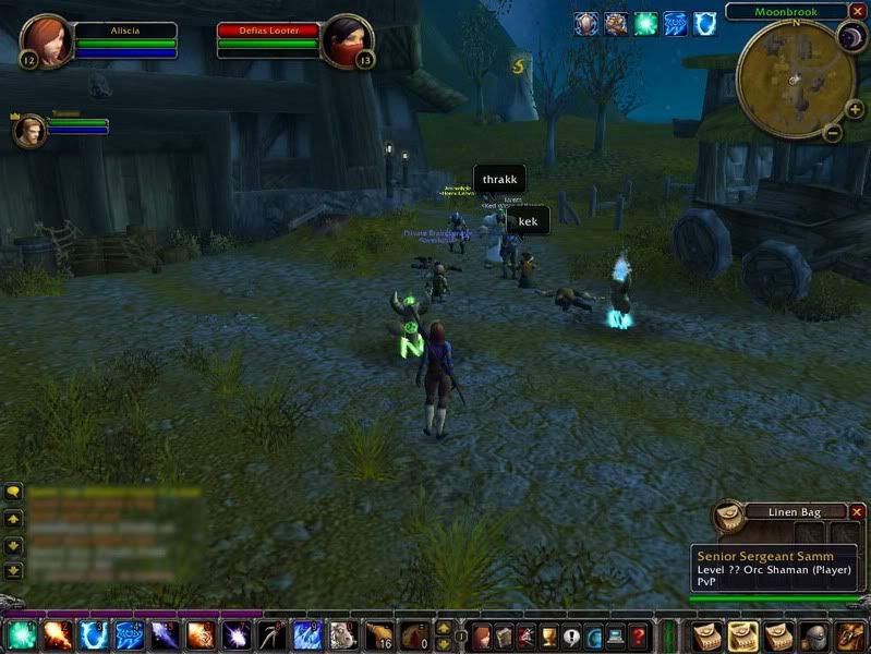 [Image: WoWScrnShot_111906_000044.jpg]