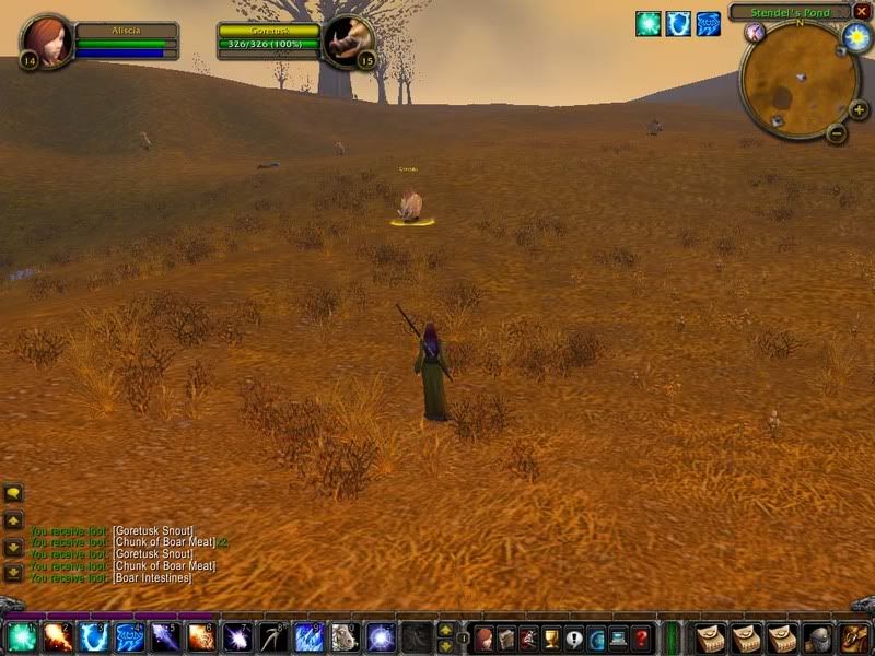 [Image: WoWScrnShot_111906_160430.jpg]