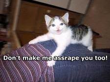 [Image: dontmakemeassrapeyoutoo9iu.jpg]