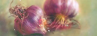 garlic.jpg