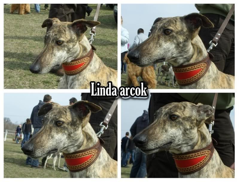 lindaarcok.jpg