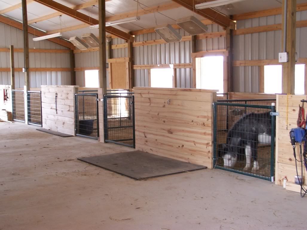 Mini Horse Stalls