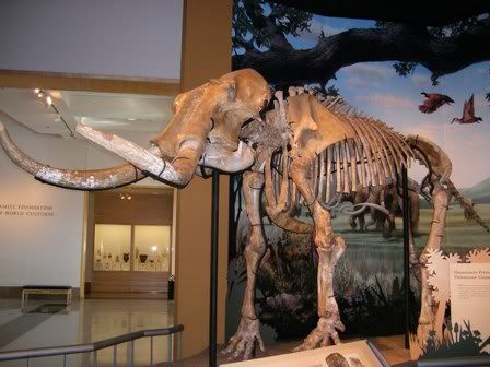 Oklahoma Museum of Natural History