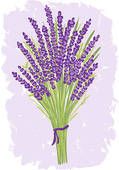 [Image: lavender_zpsd0de6760.jpg]