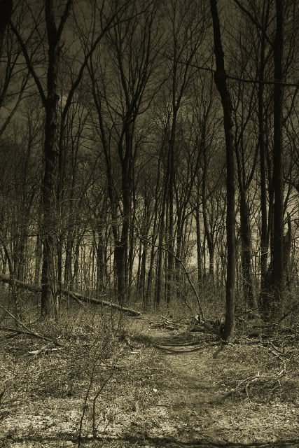 IMAGE: http://i4.photobucket.com/albums/y147/skeeter_duck/Nature/wIMG_8926spea.jpg