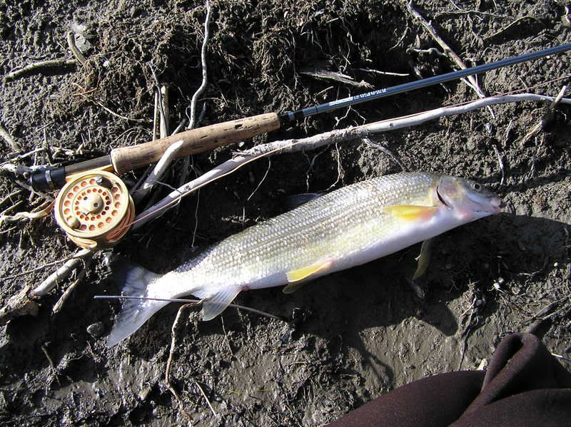 fishingetc008.jpg