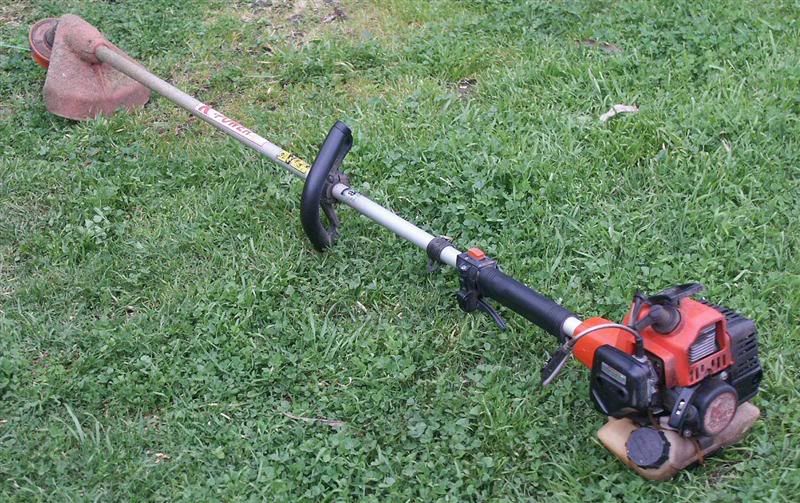 [Linked Image from i4.photobucket.com]