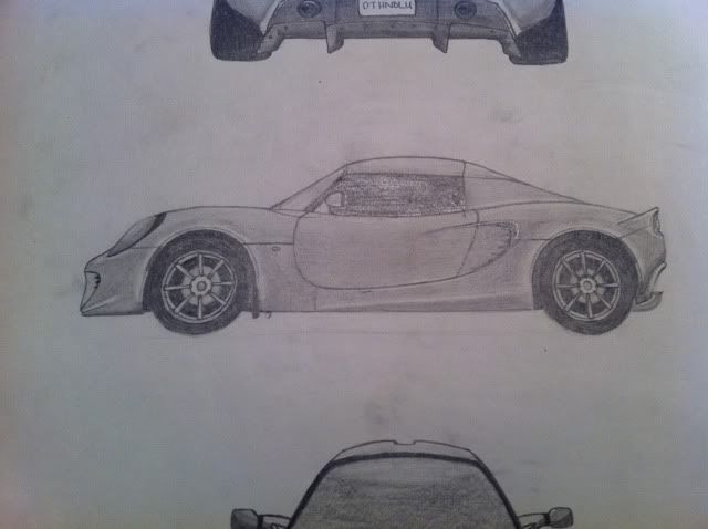 Lotus drawing wifey did for me