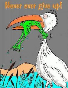 [img width=225 height=291]http://i4.photobucket.com/albums/y150/vlammetje11/nevergiveup.bmp[/img]