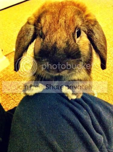 Photobucket
