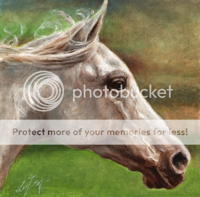 Original Oil Horse Portrait Painting Pony Art Artwork on Canvas