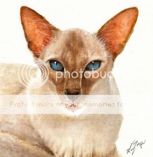 ★ Original Oil Cat Portrait Painting Siamese Art Artwork on Canvas Kitten