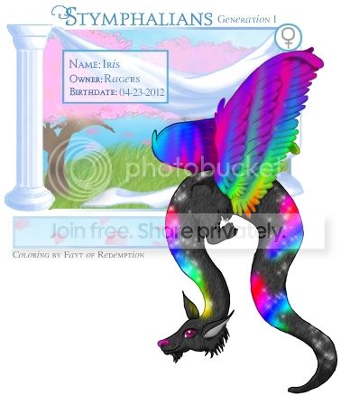 User Image