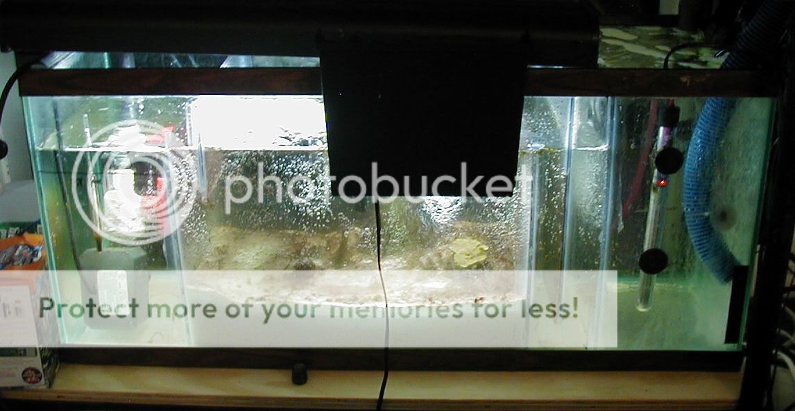 DIY 75 Gallon Sump Reef Central Online Community Archives