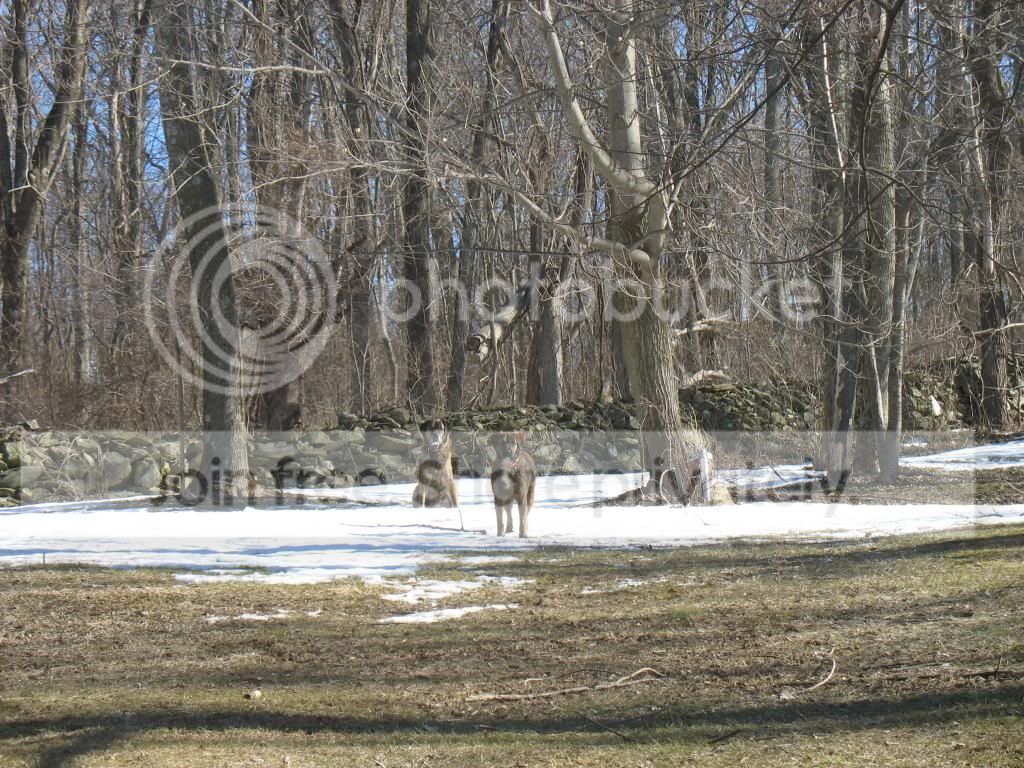 IMG_2051.jpg