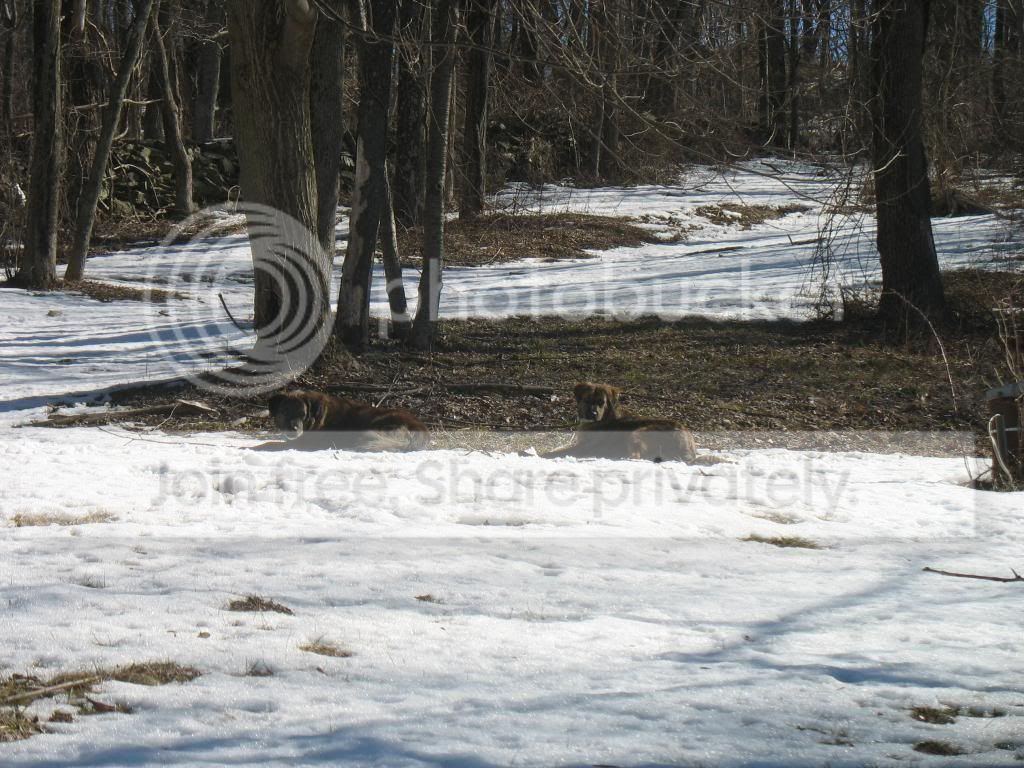 IMG_2053.jpg