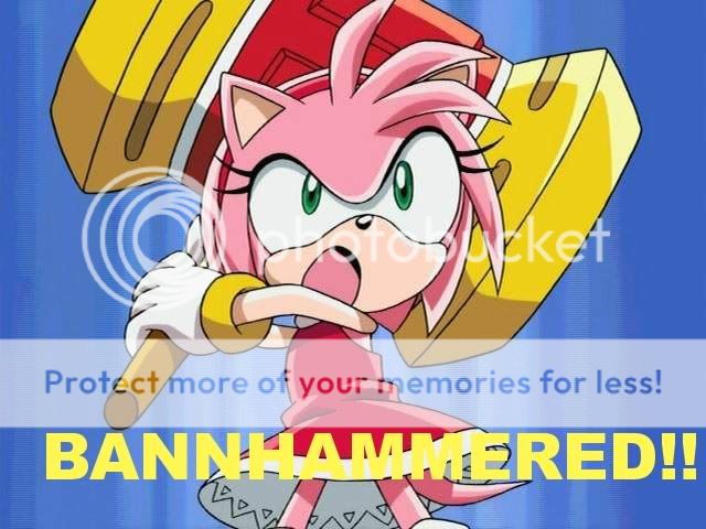 Amy Rose Banhammers You!