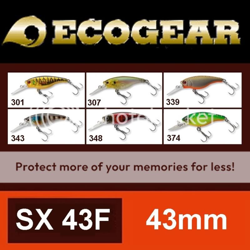 one ecogear sx43f 43mm floating lure you get to choose one lure from