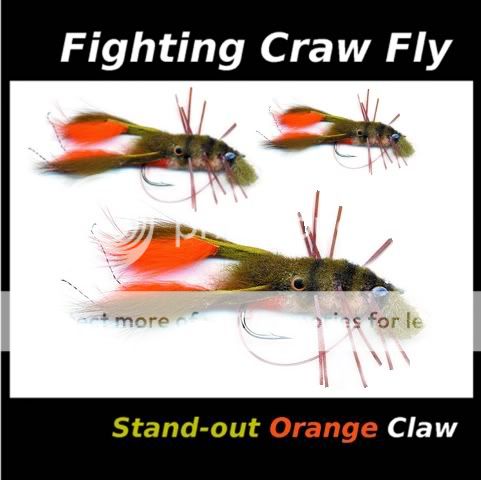 the fighting craw fly is a secret weapon for big fish