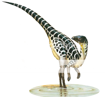 leaellynasaura_Dinosaurs_zpsfx9dheqm.png