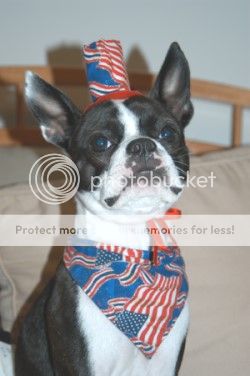 Image hosted by Photobucket.com