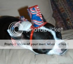 Image hosted by Photobucket.com