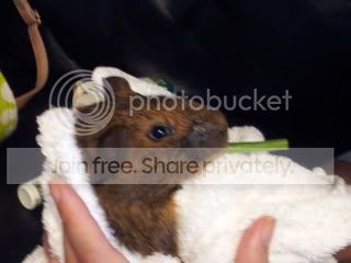 20120708_190414.jpg