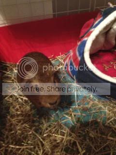 IMG_0017_zps5b76f3bb.jpg