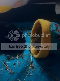 photo-9.jpg