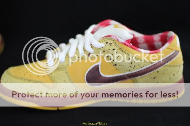 Nike SB x Yellow Lobster SAMPLE PROMO unreleased concepts blue red 