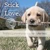 Stick Love