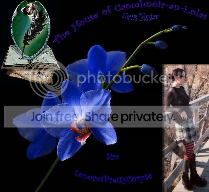 Image hosted by Photobucket.com