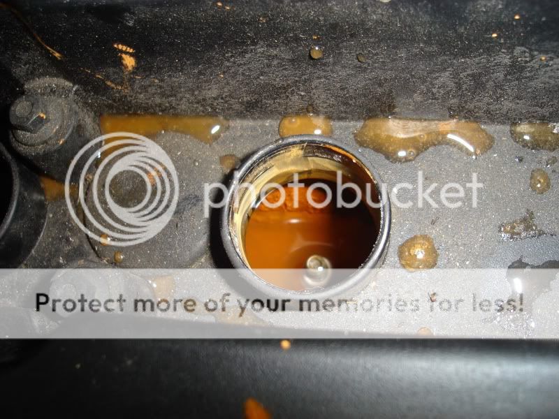 Ford focus water in spark plug holes